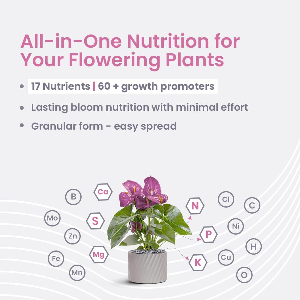 IFFCO Urban Gardens - Green Diet + Flora Diet Combo - 2 Kg - Organic Plant Food For Indoor & Outdoor plants, and Flower Booster - Balanced Macro & Micro Nutrients, Slow-Release Granules - Image 7