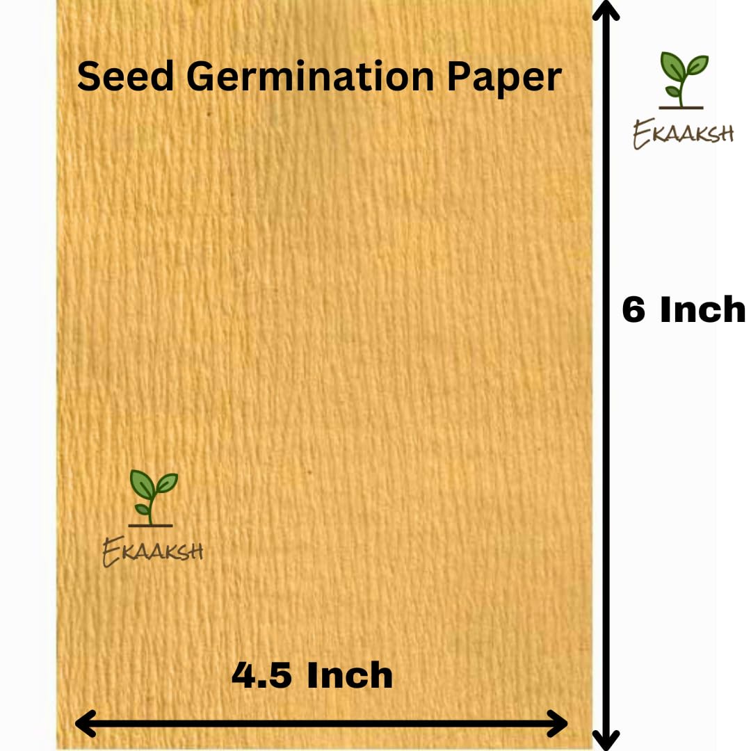 Ekaaksh - Bitter Gourd Long Seeds + Free Seed Germination Paper + Planting Guide - New Seeds with Test Result - Best for Pots, Terrace & Kitchen Gardening - Image 3