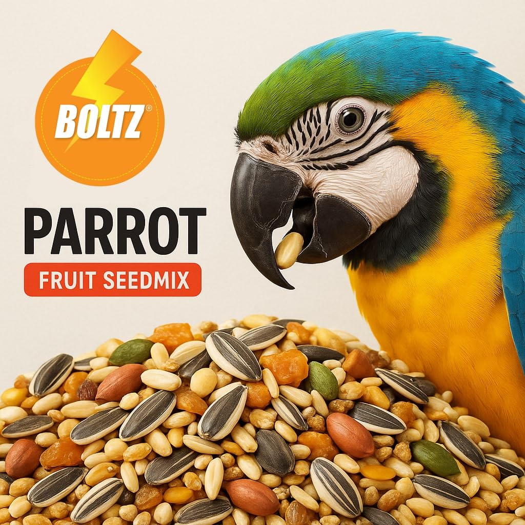 BOLTZ Premium Fruit Pellet with Seed Mix for Parrot 1KG Pack, African Grey Parrot,Sun Conure,Macaw,Lovebird and Alexander - All Life Stages Mix Seeds (Fruit Pellet 1Kg) - Image 7