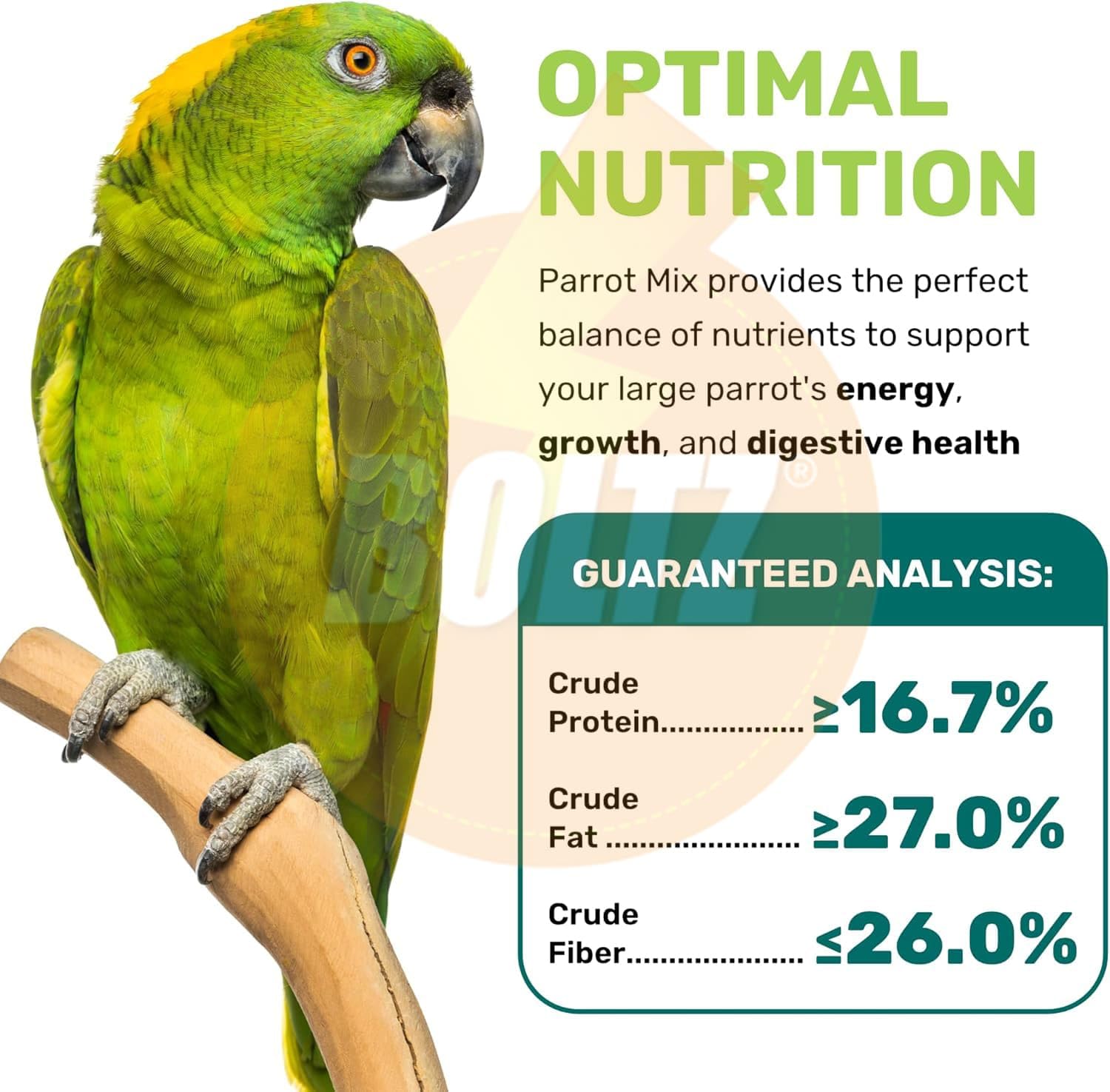 BOLTZ Premium Fruit Pellet with Seed Mix for Parrot 1KG Pack, African Grey Parrot,Sun Conure,Macaw,Lovebird and Alexander - All Life Stages Mix Seeds (Fruit Pellet 1Kg) - Image 4