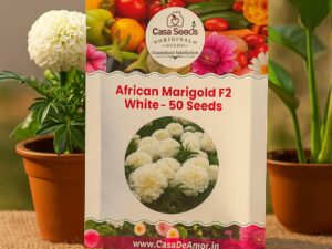 Casa De Amor African Marigold/Gainda F2 (White, 50 Seeds)
