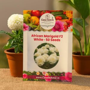 Casa De Amor African Marigold/Gainda F2 (White, 50 Seeds)