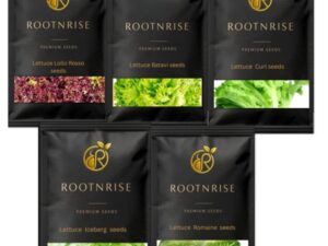 rootNrise Lettuce Mix Seed Combo |Imported|1000+ Seeds| For Home Garden | Hydroponic Lettuce Seeds – Lollo Rosso | Iceberg | Batavia | Curl| Romaine – 200+Seed Each Variety|Combo Pack