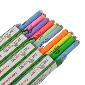 Eco Friendly Plantable Seed Pencils | Best For Distributing In School On Birthday | Return Gift (2 Neon Pencils In Box, 15, Count), Ink Color-Black