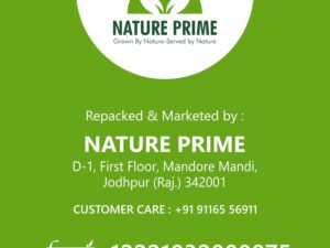 Nature Prime Raw Seeds for Eating Combo Pack – 1kg (Pumpkin Seeds, Flax Seeds, Watermelon Seeds, Sunflower Seeds – 250gm Each, Pack of 4) Jar Pack (250g*4)