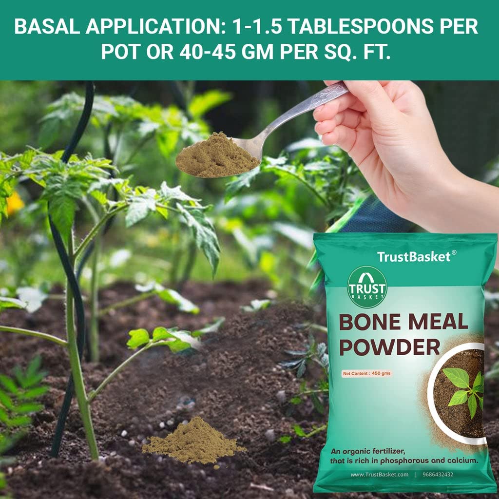 TrustBasket Organic Bone Meal for Plants Home Gardening | Steamed Bone Meal | Rich in Phosphorus and Calcium | Natural Plant Fertilizer| - 450 Grams (Set of 1) - Image 7