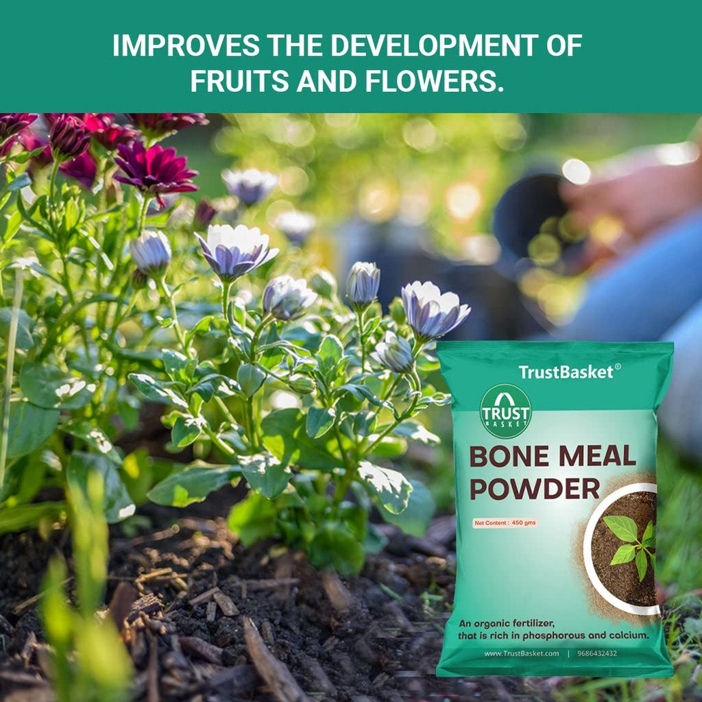 TrustBasket Organic Bone Meal for Plants Home Gardening | Steamed Bone Meal | Rich in Phosphorus and Calcium | Natural Plant Fertilizer| - 450 Grams (Set of 1) - Image 5