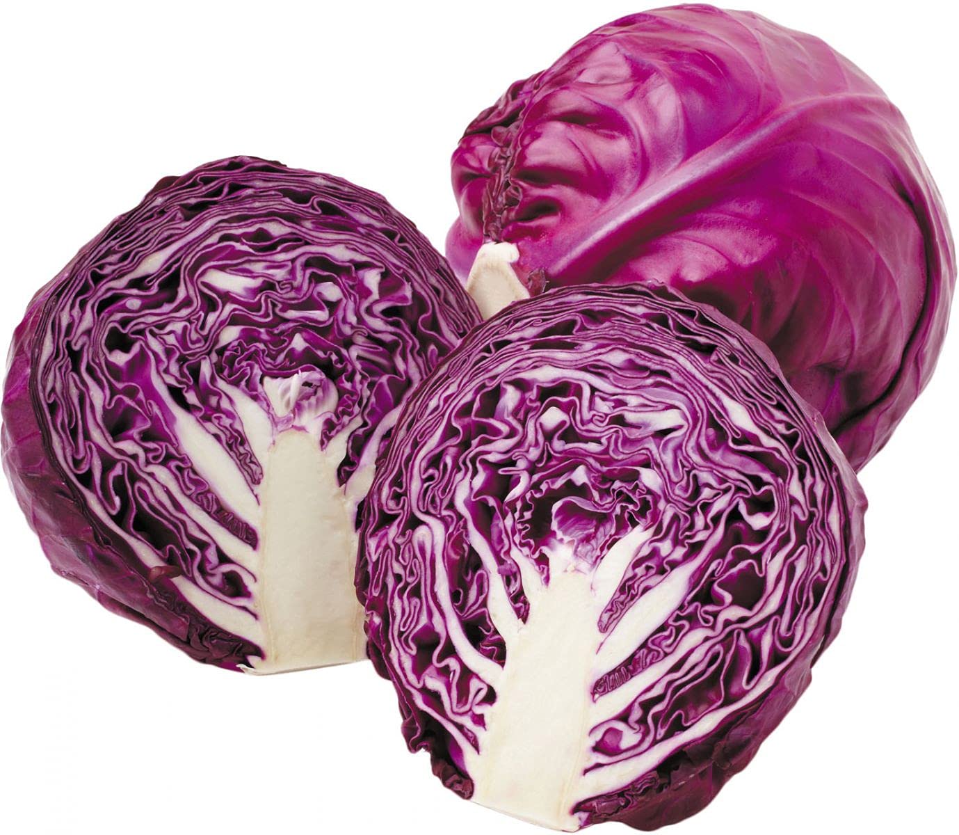 Red Cabbage Seeds Hybrids F1 Vegetable Seeds for Home Garden for Planting for All Season (200 seeds) By Zabbus - Image 2