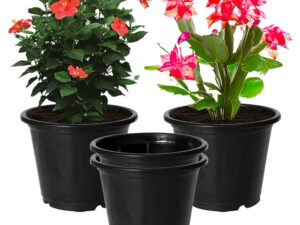 Kuber Industries Plastic Planters|Gamla|Flower Pots for Garden Nursery Home D?cor,8″x6″,Pack of 4 (Black)