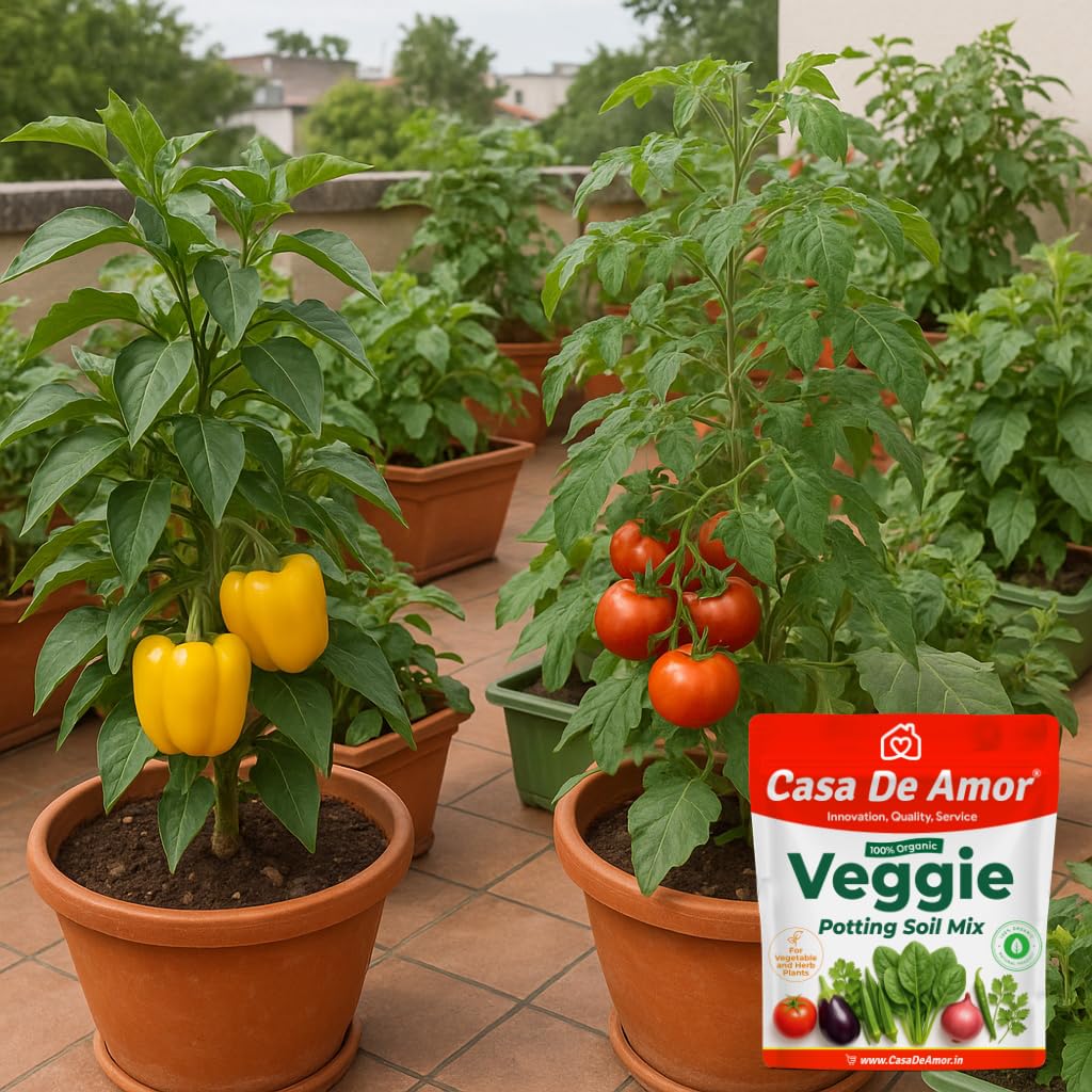 Casa De Amor Organic Veggie Potting Soil Mix for Vegetables & Herbs | Ideal for Kitchen & Terrace Garden | 100% Natural, Ready to Use Growing Media- 5 kg - Image 6