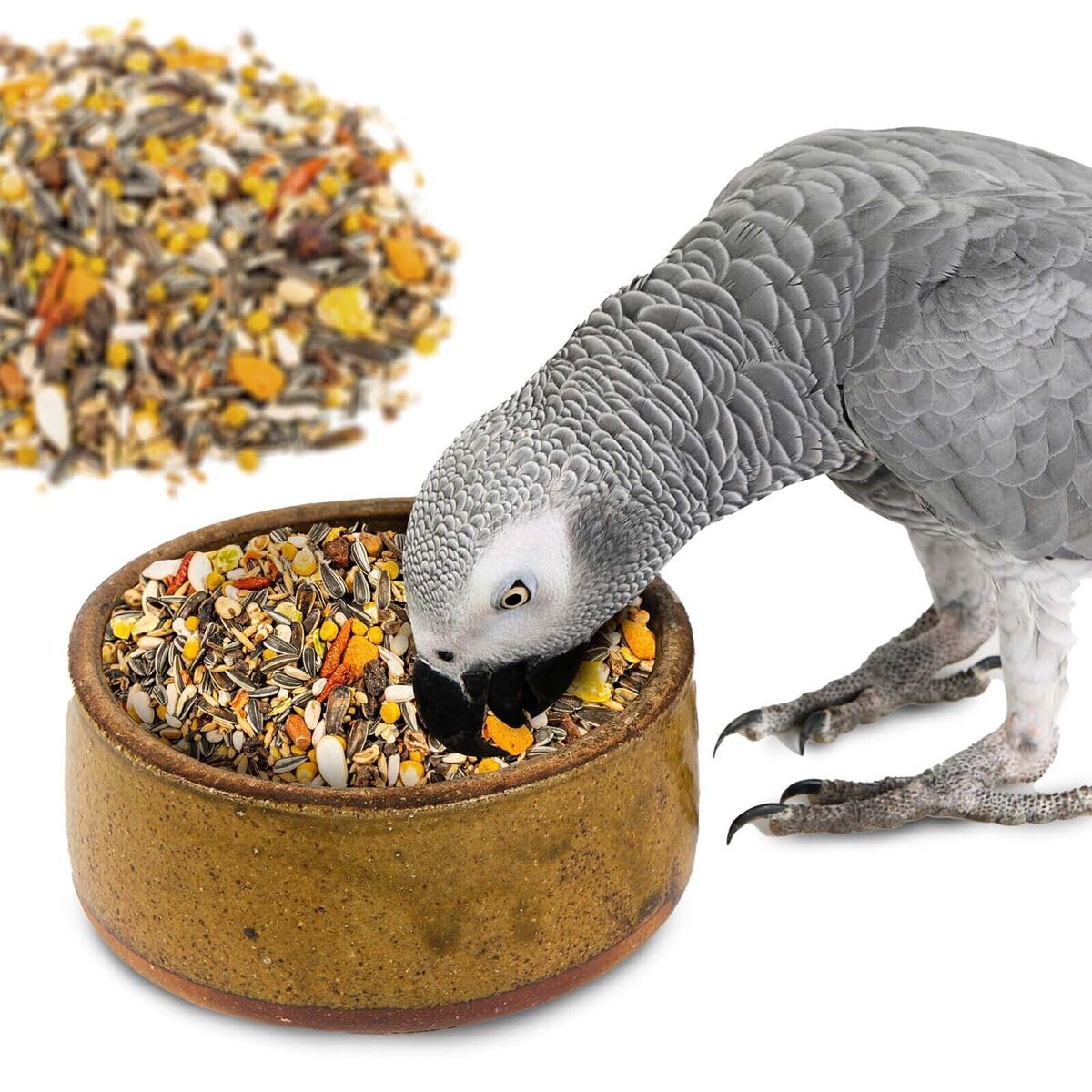BOLTZ Premium Fruit Pellet with Seed Mix for Parrot 1KG Pack, African Grey Parrot,Sun Conure,Macaw,Lovebird and Alexander - All Life Stages Mix Seeds (Fruit Pellet 1Kg) - Image 9