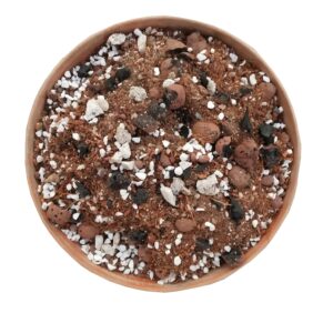 Succulent Potting Soil (Wt – 900 GMS) for Better Drainage, Roots Aeration and Protection from Roots’ Rot (900 Gm)