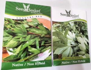 Seed Basket Native/Non-GMO Green Leafy Vegetable Seeds for Home Gardening with More than 70% Germination And Instruction Manual (Sorrel/Gongura)