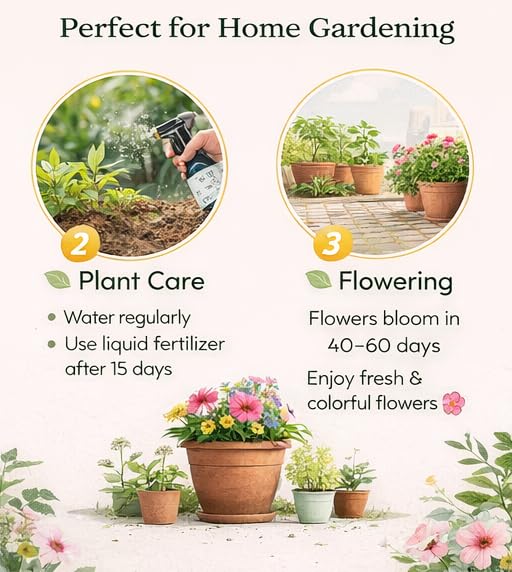 Ornamental/Flowering Kale Flower Seeds Pack Of 30 | Indoor And Outdoor | for Planting in Home Kitchen Terrace Balcony Gardening - Image 4